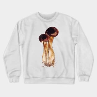 Boletus edulis Crewneck Sweatshirt